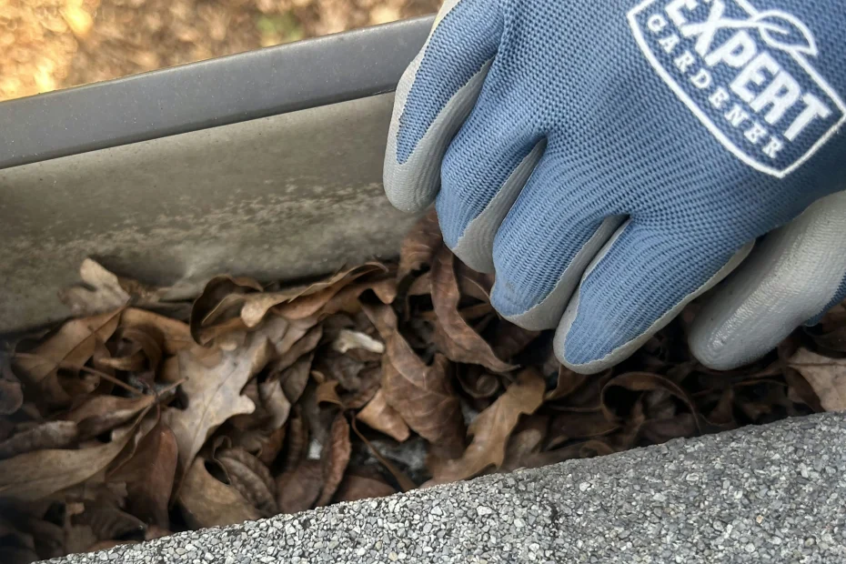 Gutter Cleaning Emporia