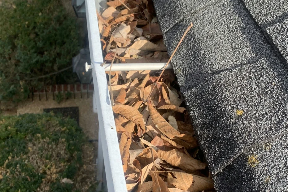 Gutter Cleaning Emporia