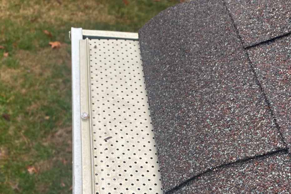 Gutter Cleaning Emporia