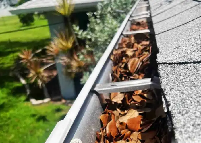 Gutter Cleaning Emporia home page